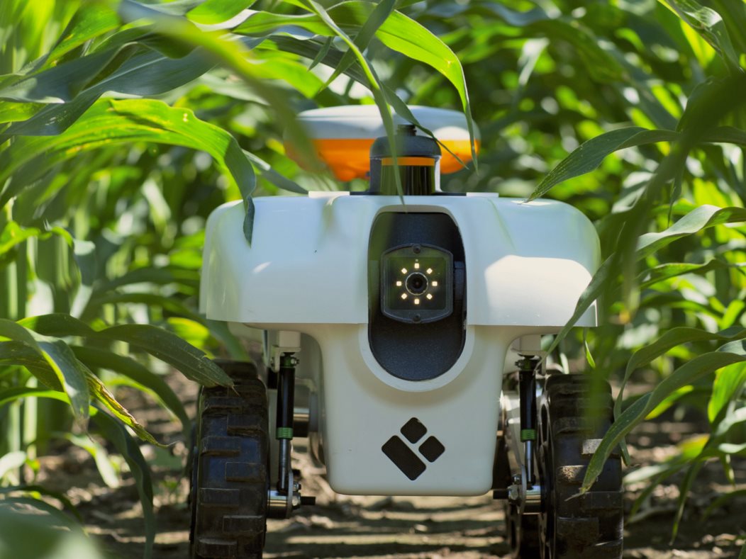 EarthSense's TerraSentia uses a number of sensors to collect data on crop health, as well as machine learning-based analytics to convert this data into actionable insights for farmers.