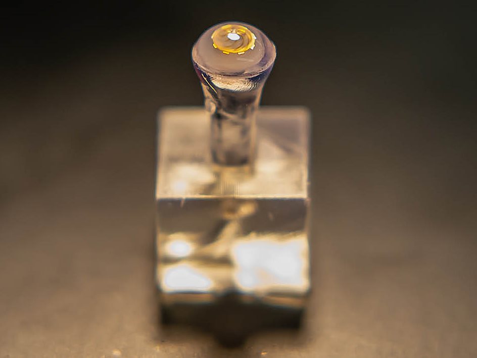 Mind in Vitro: an NSF Expedition in Computing