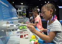Museum guests can see how a variety of robotic grippers, like the FESTO Fin Gripper, can pick up an array of everyday objects. Photo by J.B. Spector, Museum of Science and Industry, Chicago.