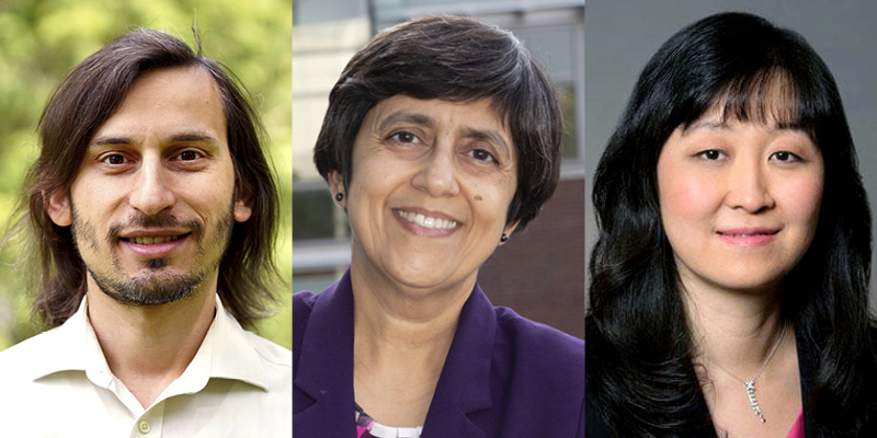 Three headshots from left to right (left to right) Brighten&nbsp;Godfrey, Sarita Adve and Christine Zhang.