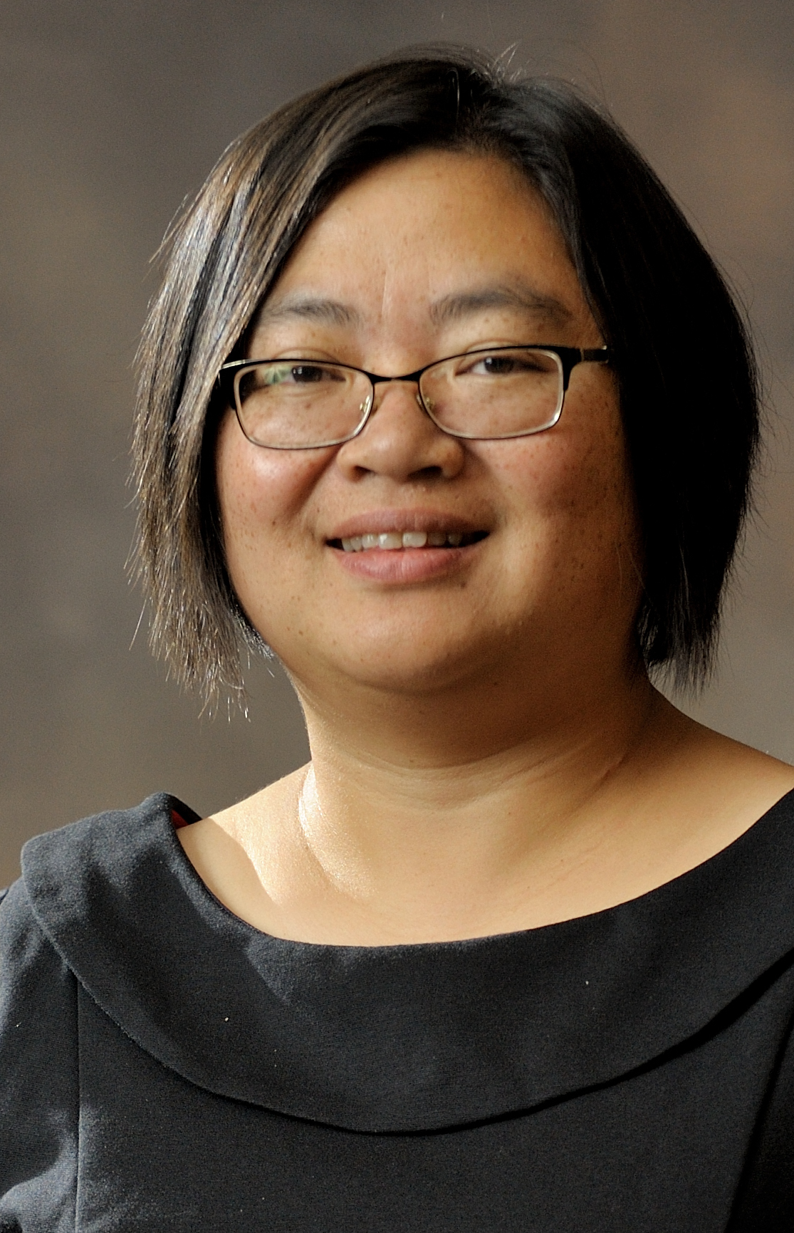 Hui Fang | Siebel School of Computing and Data Science | Illinois