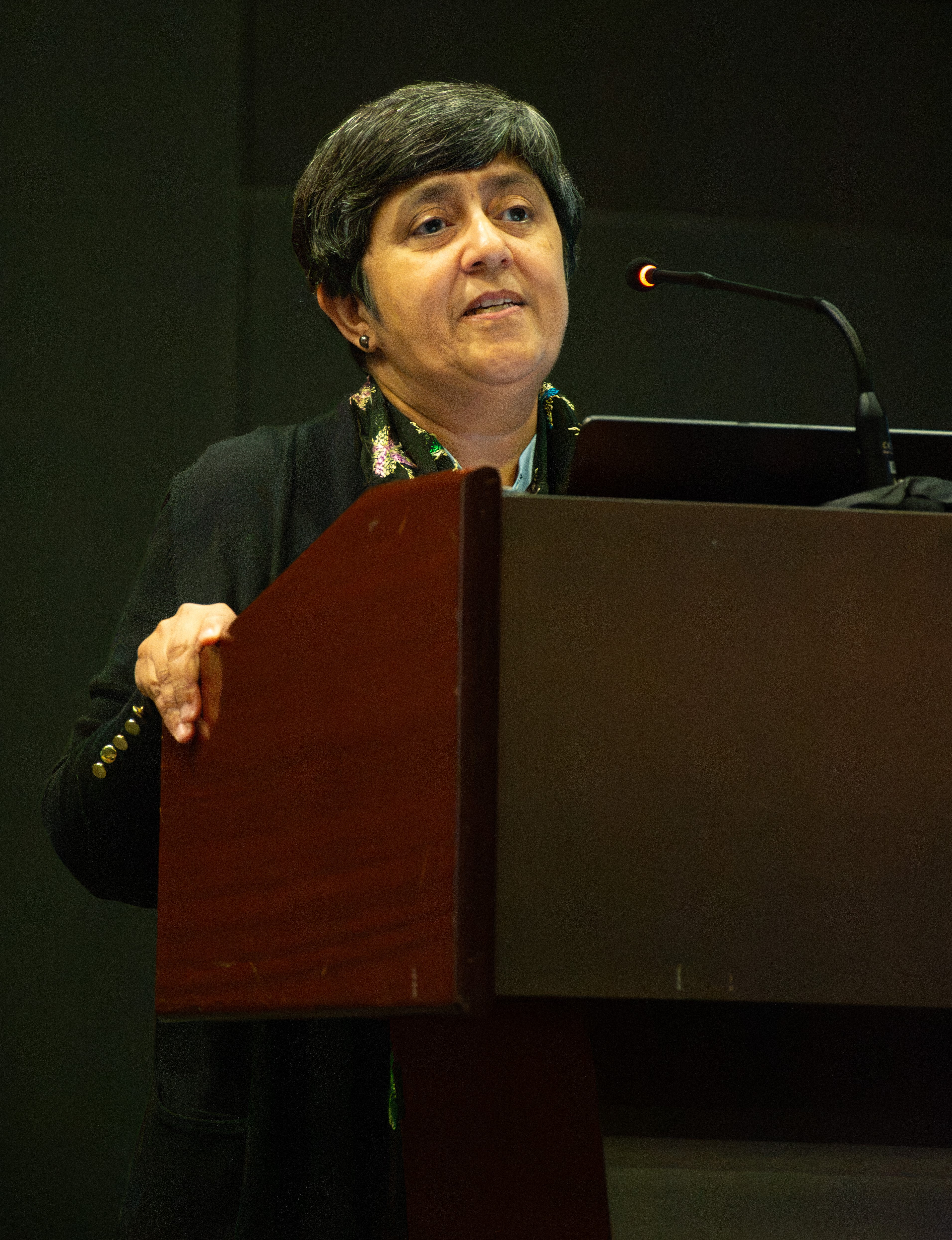 Sarita Adve at podium