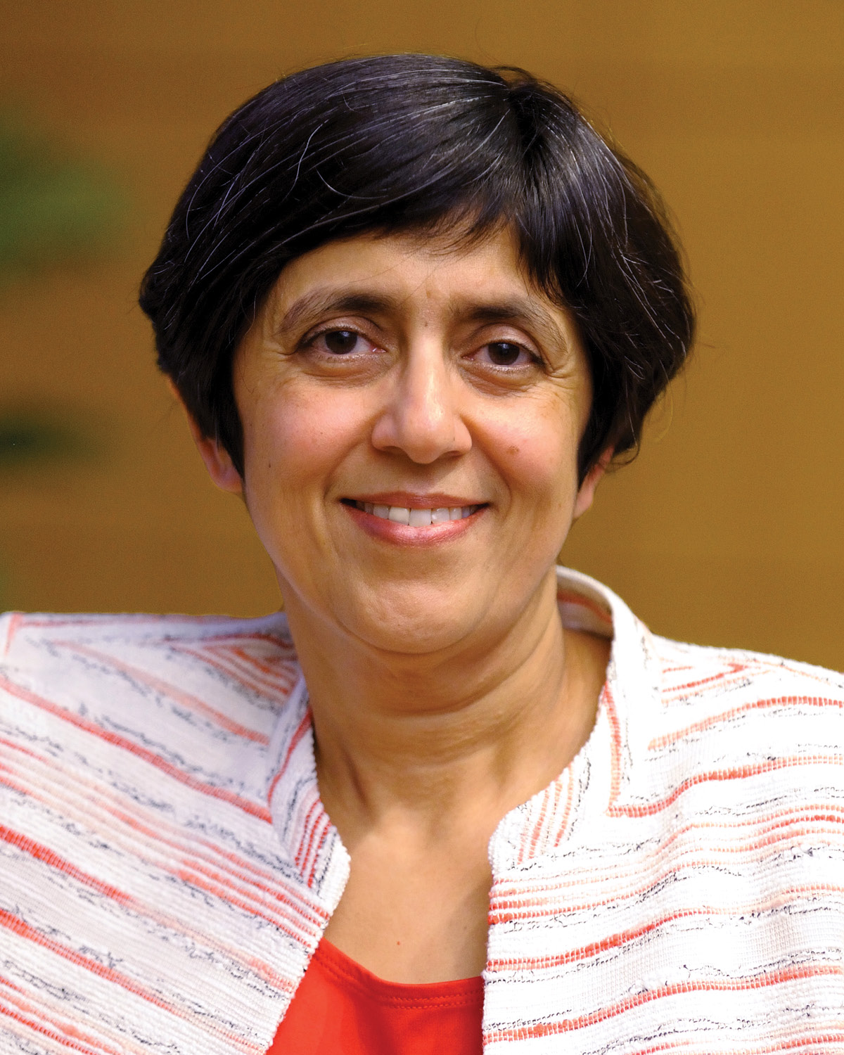 Sarita Adve, CS Professor and Director of IMMERSE