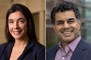 Psychology professor Dolores Albarracin and CS professor Hari Sundaram received an NSF RAPID grant to leverage digital social networks to promote and spread healthy behaviors that combat COVID-19.[cr][lf]&lt;p style=&quot;margin: 0in 0in 0.0001pt; font-size: 12pt; font-family: Calibri, sans-serif;&quot;&gt;&nbsp;&lt;/p&gt;[cr][lf]