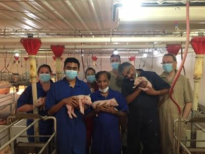 Shirke (second from left) holding piglets with other researchers.