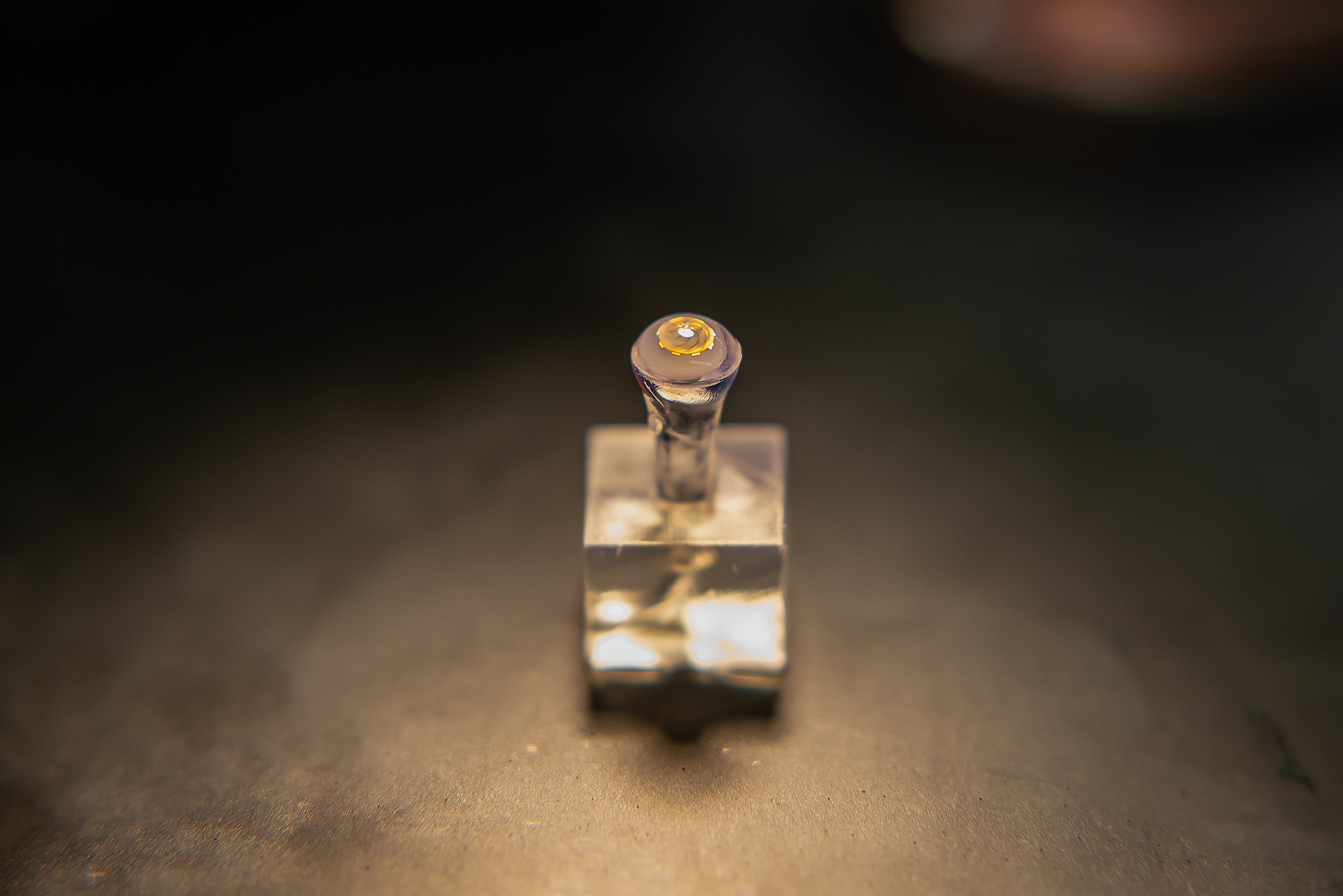 For this research project funded through the NSF Expeditions in Computing program, Illinois CS Department Head Nancy M. Amato serves as co-director while fellow Illinois CS professors Josep Torrellas and Lawrence Rauchwerger serve as area leads.