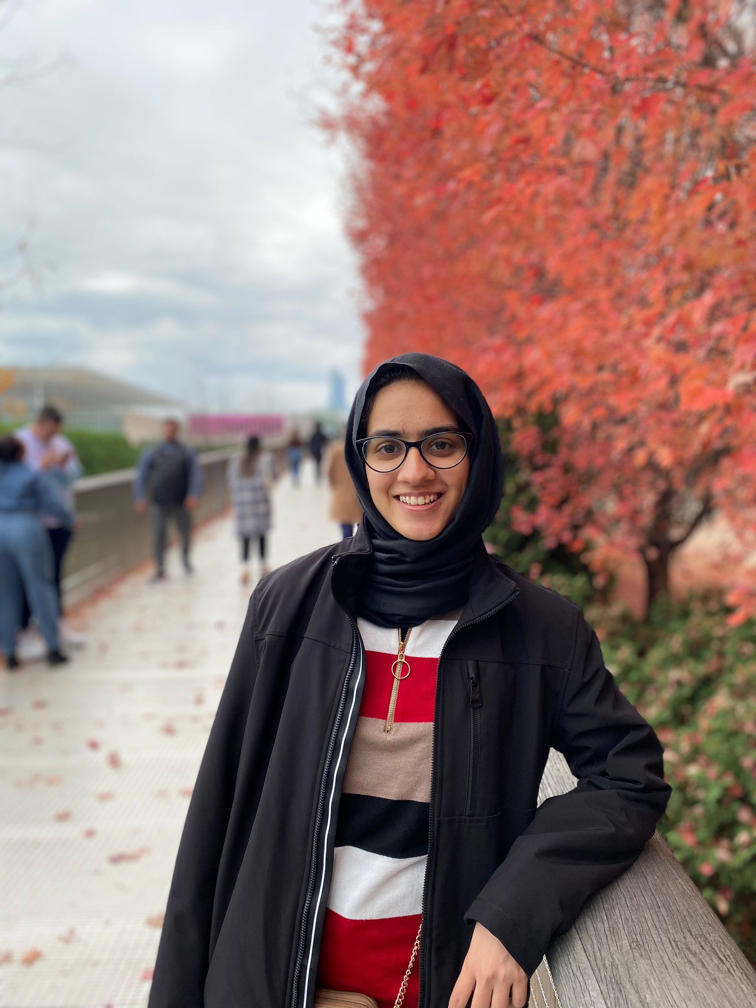 Mahnoor Jameel | Siebel School of Computing and Data Science | Illinois
