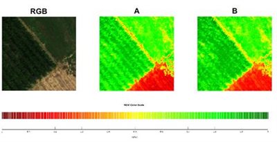 Expert observers evaluated image trios like these. The RGB image is shown to the left, and the real and model-generated color map images are shown on the right. In some cases, image A was the real image, in other cases it was image B.&nbsp;