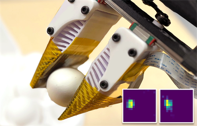 A robot arm grips an egg with care.